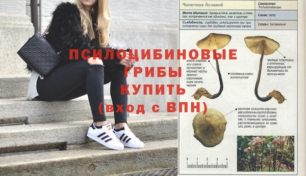 гашишное масло Алзамай