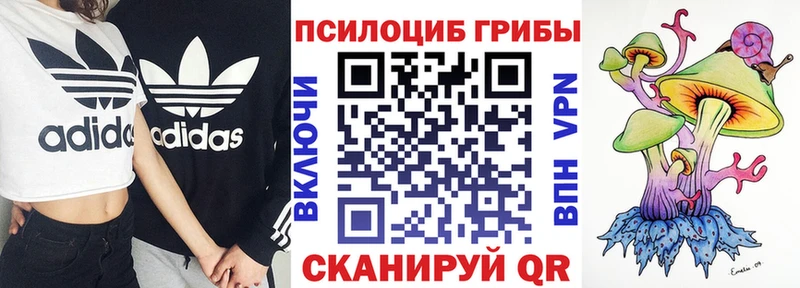 как найти наркотики  Сосновый Бор  MEGA зеркало  Псилоцибиновые грибы прущие грибы 