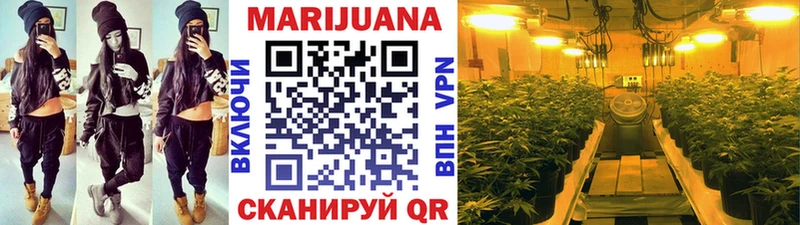 хочу наркоту  Сосновый Бор  Марихуана марихуана 